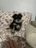 processed/c9c9664a-c8c4-4777-a5f5-9f2a0887fabc/listing/0f884948-448f-4fd1-9f4c-e2765940542c/ff2a3861-dc7e-4cfc-bc36-0baa59c91386