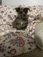 processed/c9c9664a-c8c4-4777-a5f5-9f2a0887fabc/listing/3e9d2947-1a92-4459-b093-028b5dd466ec/b643b79c-3d53-4499-a04e-04652e387db4