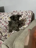 processed/c9c9664a-c8c4-4777-a5f5-9f2a0887fabc/listing/3e9d2947-1a92-4459-b093-028b5dd466ec/c9928150-a952-4645-8088-bc79c8733acf