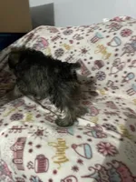 processed/c9c9664a-c8c4-4777-a5f5-9f2a0887fabc/listing/c34e0310-ffdc-4550-81ff-fb13eb871771/66a862ee-e9cd-41b0-a318-038d21e670b7