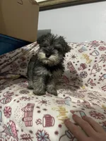 processed/c9c9664a-c8c4-4777-a5f5-9f2a0887fabc/listing/c34e0310-ffdc-4550-81ff-fb13eb871771/b46e52e5-434e-4f93-b37d-aea984a37d4c