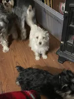 processed/c9c9664a-c8c4-4777-a5f5-9f2a0887fabc/listing/f0a6b95e-282c-4078-bc04-59f5efcbff61/e3ab160d-4b9a-4a37-8b1c-884244901859