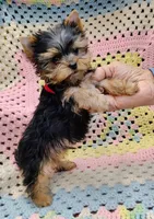 processed/c9c99617-93ac-4656-ba37-3bbe4332edda/listing/5fe461d1-c2a9-4095-9765-f3c6d555c367/0723555d-53e9-4cb0-b1c3-7e0c8612cf0c