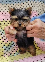 processed/c9c99617-93ac-4656-ba37-3bbe4332edda/listing/5fe461d1-c2a9-4095-9765-f3c6d555c367/63674ff3-8087-428b-bcbf-f25dc2194599