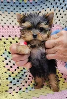 processed/c9c99617-93ac-4656-ba37-3bbe4332edda/listing/5fe461d1-c2a9-4095-9765-f3c6d555c367/b03fa8cb-02ed-469b-b1fe-2efbfe6f793f