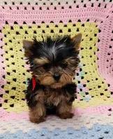 processed/c9c99617-93ac-4656-ba37-3bbe4332edda/listing/5fe461d1-c2a9-4095-9765-f3c6d555c367/c2dc9ac3-ea75-4d48-a020-05c45db15d83