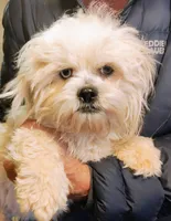 processed/c9c99617-93ac-4656-ba37-3bbe4332edda/listing/a4b14522-fe87-4f73-89f6-93bdf46af74f/179cebca-218f-4158-8e8e-e9b5e28466c5