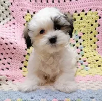 processed/c9c99617-93ac-4656-ba37-3bbe4332edda/listing/a4b14522-fe87-4f73-89f6-93bdf46af74f/5bf1aeed-1cd9-4298-907e-1549d09fe22b