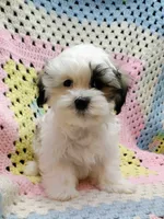 processed/c9c99617-93ac-4656-ba37-3bbe4332edda/listing/a4b14522-fe87-4f73-89f6-93bdf46af74f/7b7008a3-0c3c-41d1-a1cb-0a967bdcbd20