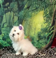 processed/c9c99617-93ac-4656-ba37-3bbe4332edda/listing/a4b14522-fe87-4f73-89f6-93bdf46af74f/a94f15e5-71aa-40f3-bf6f-b79326269d00