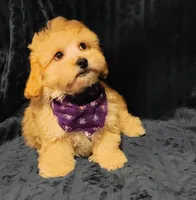 processed/c9c99617-93ac-4656-ba37-3bbe4332edda/listing/c7fa246d-c7fe-4860-95e8-be1d1ce60256/18c15601-8da3-48c2-bde7-1d1105818df7