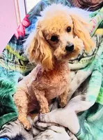 processed/c9c99617-93ac-4656-ba37-3bbe4332edda/listing/c7fa246d-c7fe-4860-95e8-be1d1ce60256/547f63f7-0be0-4acb-9d62-ac6836b0eec0