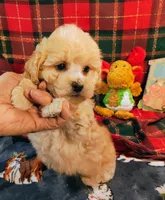 processed/c9c99617-93ac-4656-ba37-3bbe4332edda/listing/c7fa246d-c7fe-4860-95e8-be1d1ce60256/865debae-aba1-429e-be90-f6562ee7ed23