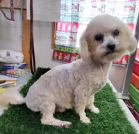 processed/c9c99617-93ac-4656-ba37-3bbe4332edda/listing/c7fa246d-c7fe-4860-95e8-be1d1ce60256/9c96ded7-a29e-4614-8b65-ae751de1ec6f