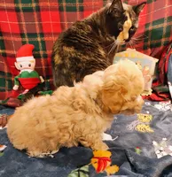 processed/c9c99617-93ac-4656-ba37-3bbe4332edda/listing/c7fa246d-c7fe-4860-95e8-be1d1ce60256/a0261c98-cb07-4a4b-a4d2-081716ea7a5d