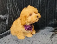 processed/c9c99617-93ac-4656-ba37-3bbe4332edda/listing/c7fa246d-c7fe-4860-95e8-be1d1ce60256/b62dfb4d-fd65-4bd5-941f-2c260d89f7b3