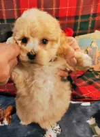 processed/c9c99617-93ac-4656-ba37-3bbe4332edda/listing/c7fa246d-c7fe-4860-95e8-be1d1ce60256/fae3fb34-2a85-4032-bf3e-b62b689d17a7