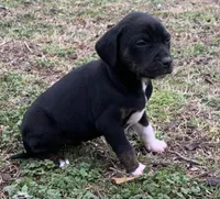 processed/c9d38231-8fb8-43f9-8322-d75b5e5bc736/listing/a1a8eaba-2e90-46e3-9c7a-908049ec83bf/02edfa77-3663-497b-8c0e-e12b680dfa09