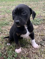 processed/c9d38231-8fb8-43f9-8322-d75b5e5bc736/listing/a1a8eaba-2e90-46e3-9c7a-908049ec83bf/337a19c2-cd8c-4d80-a04f-200af77d0857