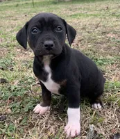 processed/c9d38231-8fb8-43f9-8322-d75b5e5bc736/listing/a1a8eaba-2e90-46e3-9c7a-908049ec83bf/510e3c3a-9178-4bf5-b774-b3f4acbc8fd9