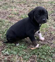 processed/c9d38231-8fb8-43f9-8322-d75b5e5bc736/listing/a1a8eaba-2e90-46e3-9c7a-908049ec83bf/693d7dd8-395f-4365-9b5a-af5aa11802cf