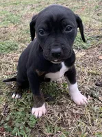 processed/c9d38231-8fb8-43f9-8322-d75b5e5bc736/listing/a1a8eaba-2e90-46e3-9c7a-908049ec83bf/79c1ba77-4fb9-4a20-b801-2aa94197cf3c