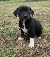 processed/c9d38231-8fb8-43f9-8322-d75b5e5bc736/listing/a1a8eaba-2e90-46e3-9c7a-908049ec83bf/7dcc78e4-ef11-4aba-90c7-50a9e20f4d20