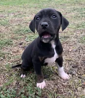 processed/c9d38231-8fb8-43f9-8322-d75b5e5bc736/listing/a1a8eaba-2e90-46e3-9c7a-908049ec83bf/a275ffda-3725-4428-8388-c936d22f75d8