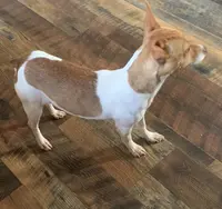 processed/c9d38231-8fb8-43f9-8322-d75b5e5bc736/listing/b3851029-2e04-4b2d-882a-1d039a962602/d613368f-b52e-4102-b3fc-05067571b1c6