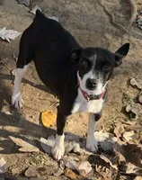 processed/c9d38231-8fb8-43f9-8322-d75b5e5bc736/listing/e588068e-9ee7-48b7-a65b-16bee5327e08/1d201ad0-37cf-4cd6-be2c-ba2fc99ea504