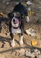 processed/c9d38231-8fb8-43f9-8322-d75b5e5bc736/listing/e588068e-9ee7-48b7-a65b-16bee5327e08/62c75102-3ac9-4a7e-a13e-87fd303b7a60