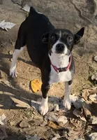 processed/c9d38231-8fb8-43f9-8322-d75b5e5bc736/listing/e588068e-9ee7-48b7-a65b-16bee5327e08/748b30d5-e2fc-4aae-9036-4949f95a921a