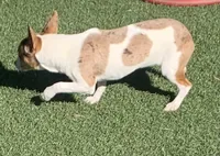 processed/c9d38231-8fb8-43f9-8322-d75b5e5bc736/listing/f81cac9f-e693-4a18-a1c8-75ec12fcfbe3/212204c3-c86f-4e86-9061-57b27aa1123c