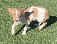 processed/c9d38231-8fb8-43f9-8322-d75b5e5bc736/listing/f81cac9f-e693-4a18-a1c8-75ec12fcfbe3/224bdb3a-2e93-470b-b308-1c88a208494a