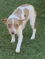 processed/c9d38231-8fb8-43f9-8322-d75b5e5bc736/listing/f81cac9f-e693-4a18-a1c8-75ec12fcfbe3/c552ad44-0c9a-4ee4-857e-152ad2a30cf3