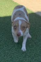 processed/c9d38231-8fb8-43f9-8322-d75b5e5bc736/listing/f81cac9f-e693-4a18-a1c8-75ec12fcfbe3/d65b9c80-dd05-494f-b20d-c1c81d628fc1