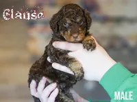 processed/c9dc562f-517f-4650-a903-e6839710ac7d/facility/0732132c-8959-4d87-88b9-58e5c95a871d