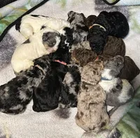 processed/c9dc562f-517f-4650-a903-e6839710ac7d/facility/5ee47b4d-c068-41bc-b61f-417ad988a6c1