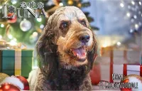 processed/c9dc562f-517f-4650-a903-e6839710ac7d/facility/752135a4-e497-42c1-843c-44cf1ba4d088