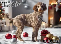 processed/c9dc562f-517f-4650-a903-e6839710ac7d/facility/7926dd04-5fa2-4de5-b532-ca58fa28e037