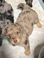 processed/c9dc562f-517f-4650-a903-e6839710ac7d/facility/ec365b25-10b7-4954-b590-353f2443a4e6