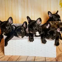 processed/c9dd5b4b-b178-4140-8193-85ad1b524455/facility/12ae58c6-4c1f-4342-aedb-66d0bbe6ec2d