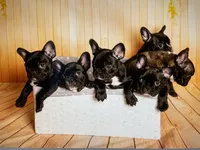 processed/c9dd5b4b-b178-4140-8193-85ad1b524455/facility/12ae58c6-4c1f-4342-aedb-66d0bbe6ec2d