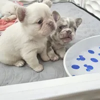 processed/c9dd5b4b-b178-4140-8193-85ad1b524455/facility/40e24690-c9ae-47a7-b2a7-a859333d3023