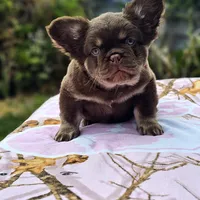 processed/c9dd5b4b-b178-4140-8193-85ad1b524455/facility/6715407e-df94-4c52-bdd5-8fa6c56a4ee9