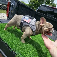 processed/c9dd5b4b-b178-4140-8193-85ad1b524455/facility/cf22d785-a8c4-4ca0-a504-14bcfc804d29