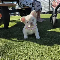 processed/c9dd5b4b-b178-4140-8193-85ad1b524455/facility/e1f1b58e-a89f-4c2b-8e69-1e5d82d4ebff