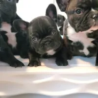 processed/c9dd5b4b-b178-4140-8193-85ad1b524455/facility/f04e48ae-d606-4b84-a9a5-98239c916c39