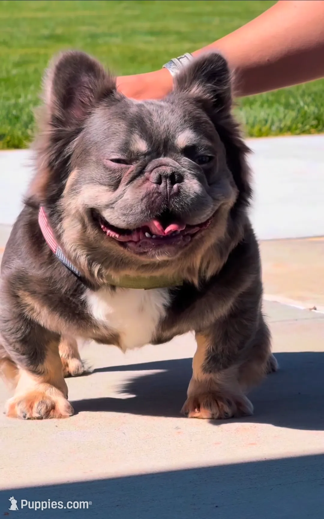 processed/c9dd5b4b-b178-4140-8193-85ad1b524455/listing/506e14b2-669d-451e-afc1-beb35cda4d86/b08d3083-f2a3-4da4-98e3-7cbddbdaef07