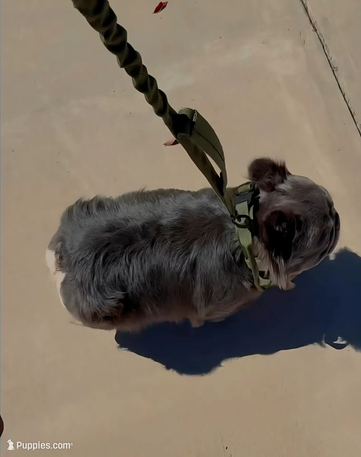 processed/c9dd5b4b-b178-4140-8193-85ad1b524455/listing/506e14b2-669d-451e-afc1-beb35cda4d86/d1639d24-6cc8-4f58-a6d2-fa7dd303a7c8